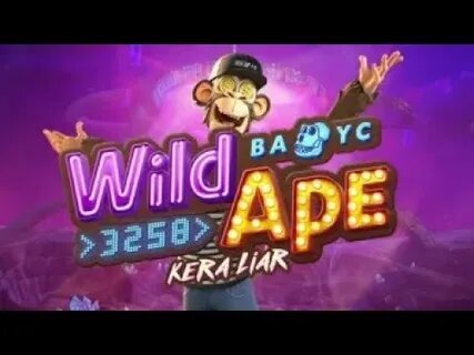 mr bet app casino 